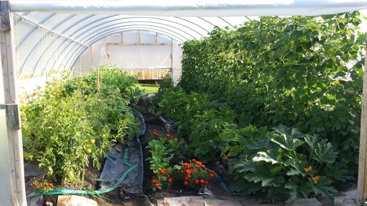 Photo of Outdoor in McCarthy