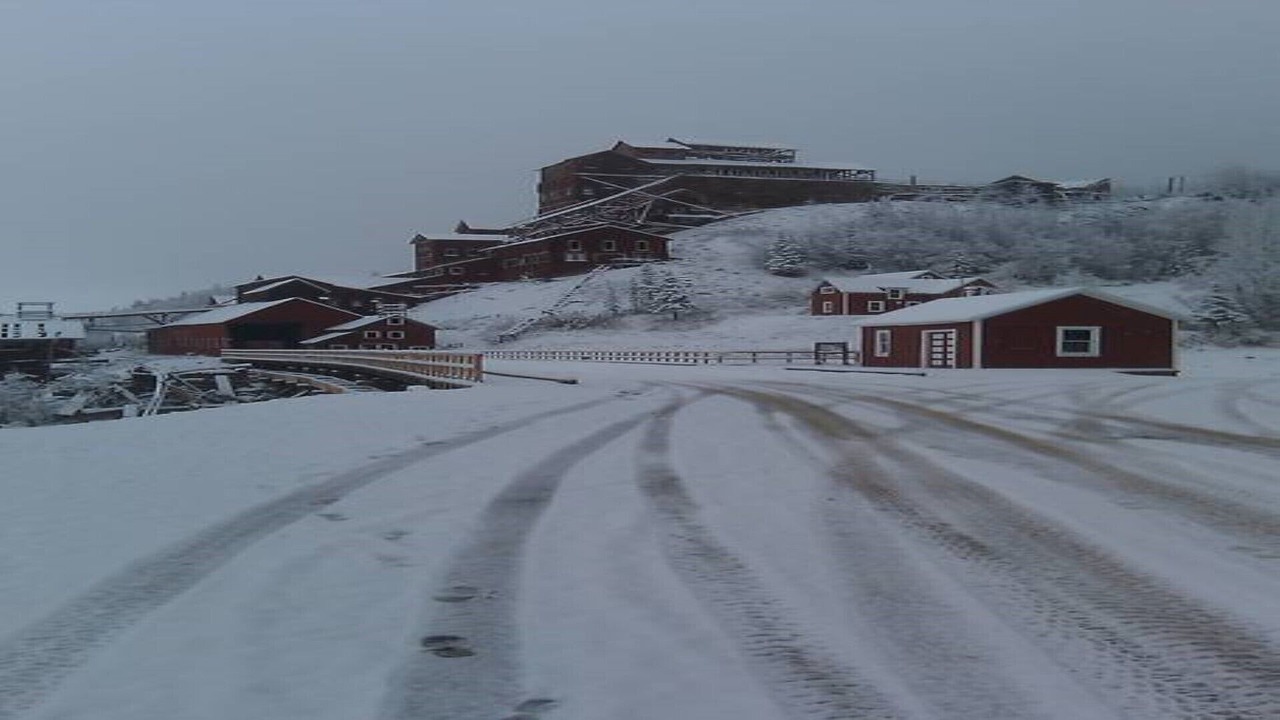 Photo of Outdoor in McCarthy