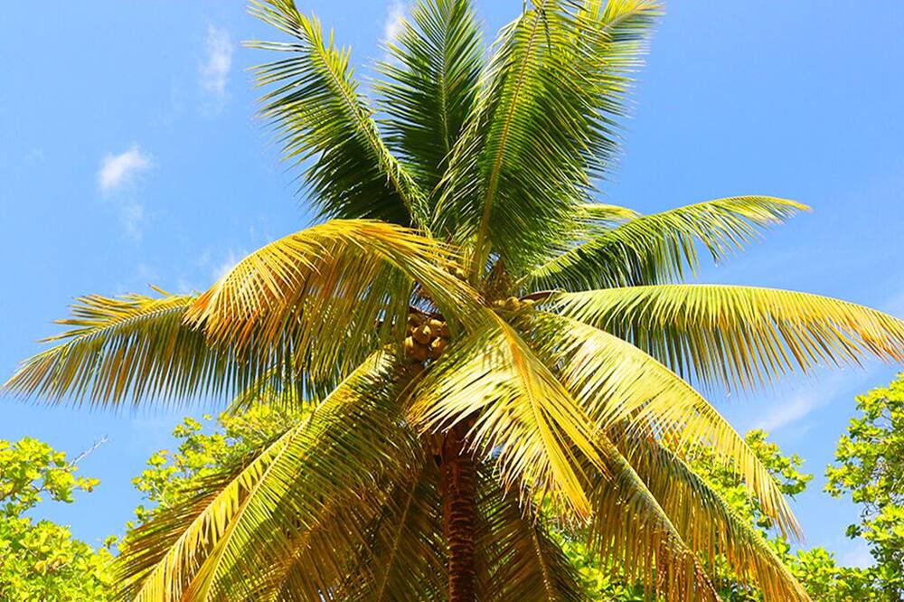 Photo of Outdoor in Calabash Bight