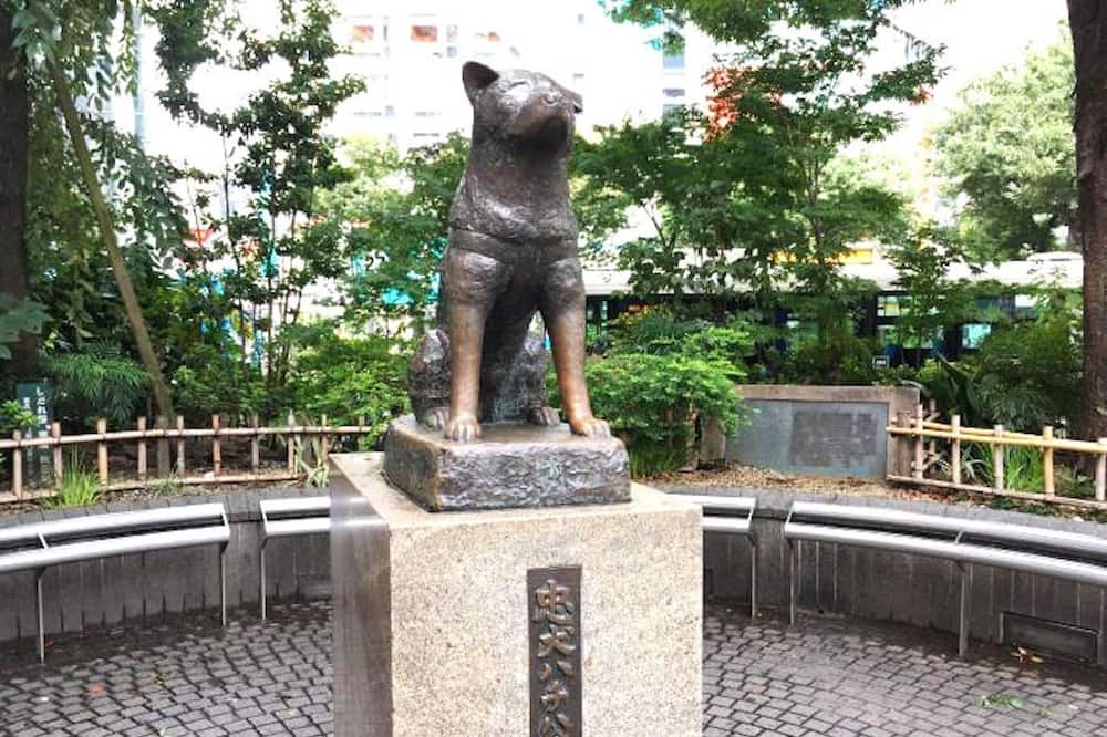 Photo of Others in Higashi