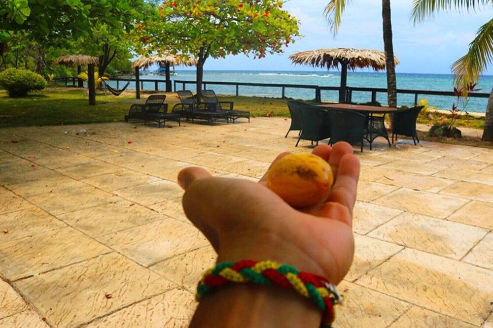 Photo of Others in Calabash Bight