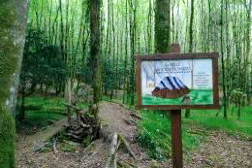 Photo of Others in Loguivy-Plougras