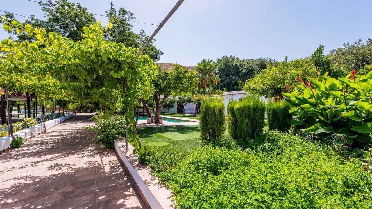 Photo of Outdoor in Berja