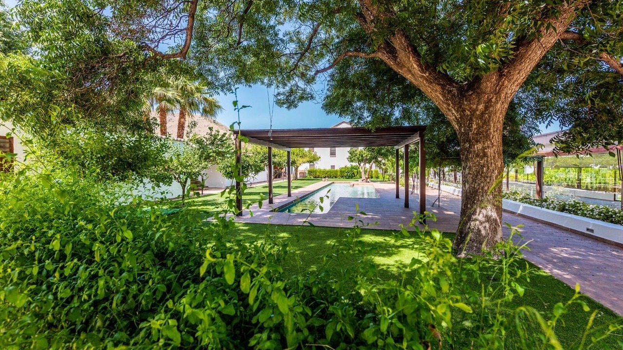 Photo of Outdoor in Berja