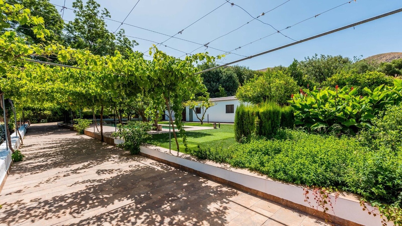 Photo of Outdoor in Berja