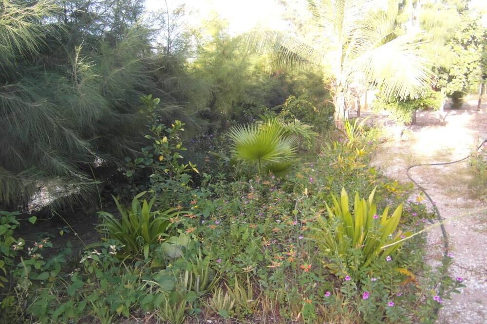 Photo of Outdoor in Niaga