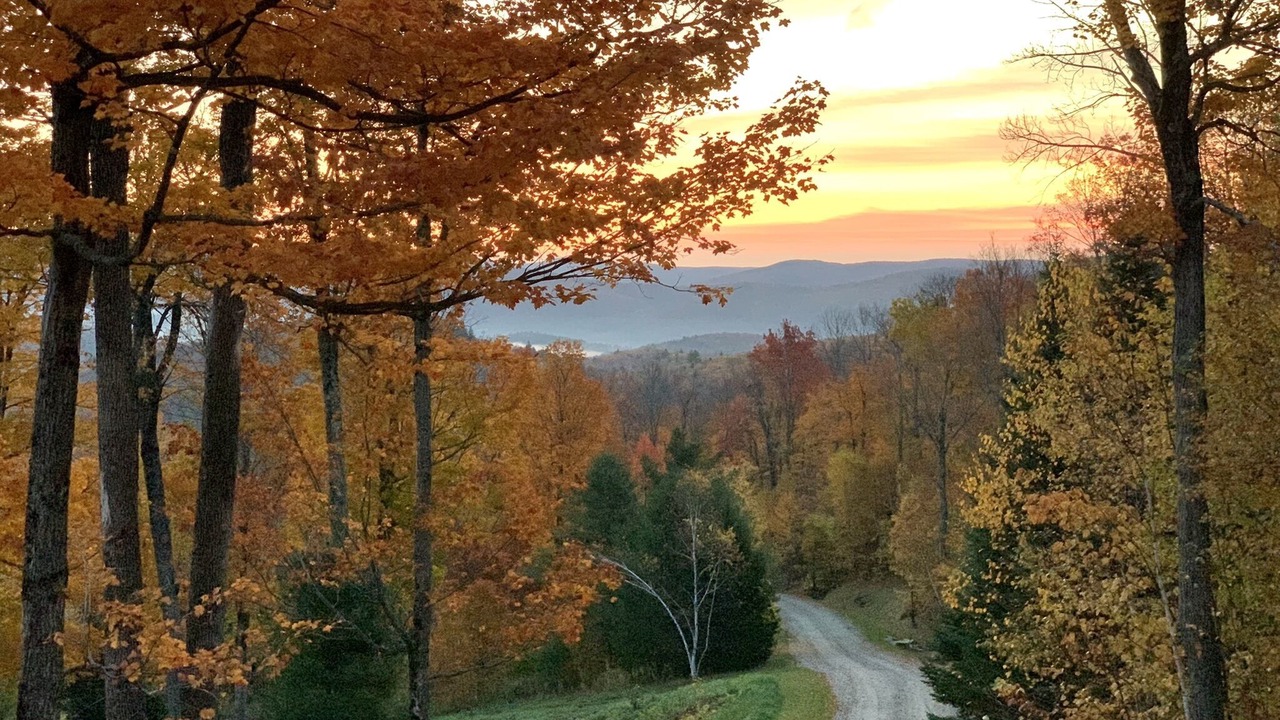 Photo of Others in Stratton Mountain