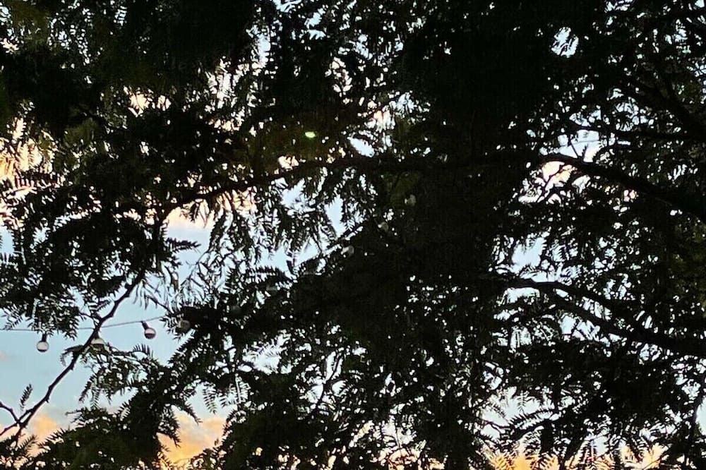 Photo of Outdoor in Bango