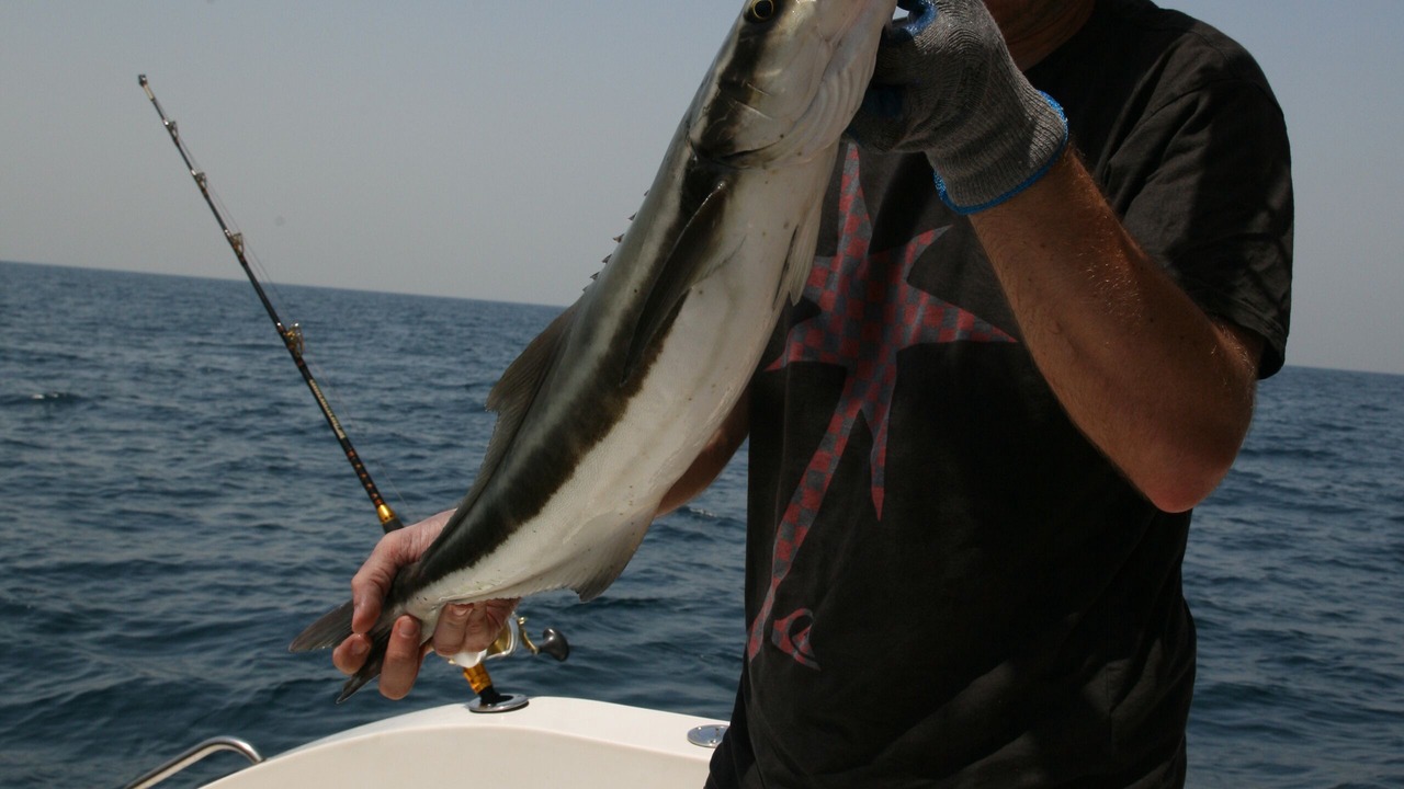 Photo of Others in Al Hamra Village