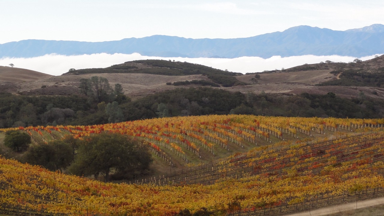 Photo of Outdoor in Soledad