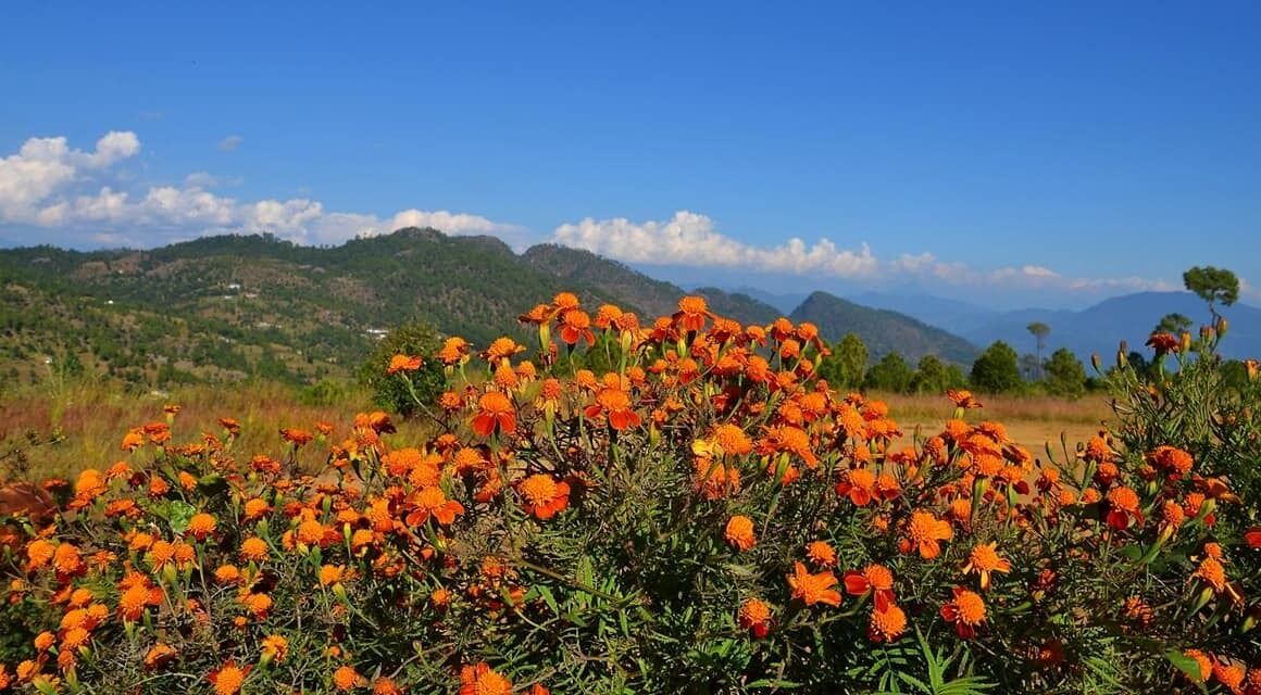 Photo of Outdoor in Vijaypur