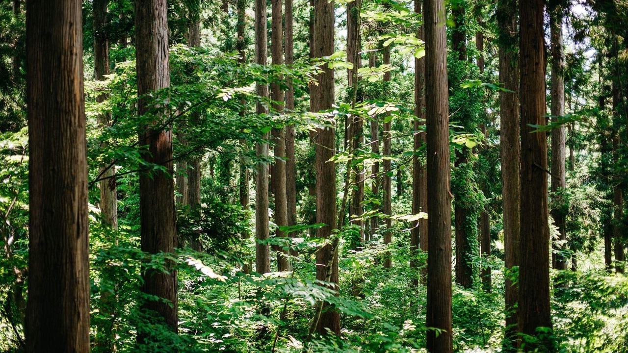 Photo of Outdoor in Otari-mura