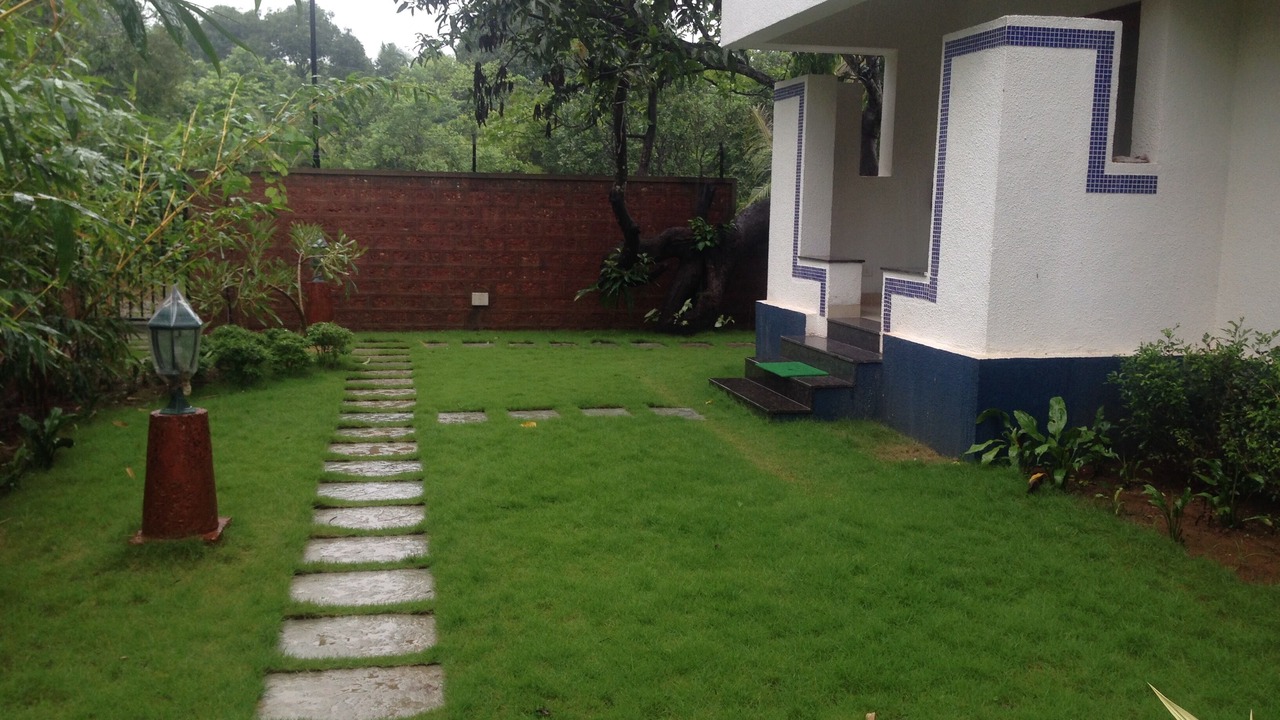 Photo of Outdoor in Siolim