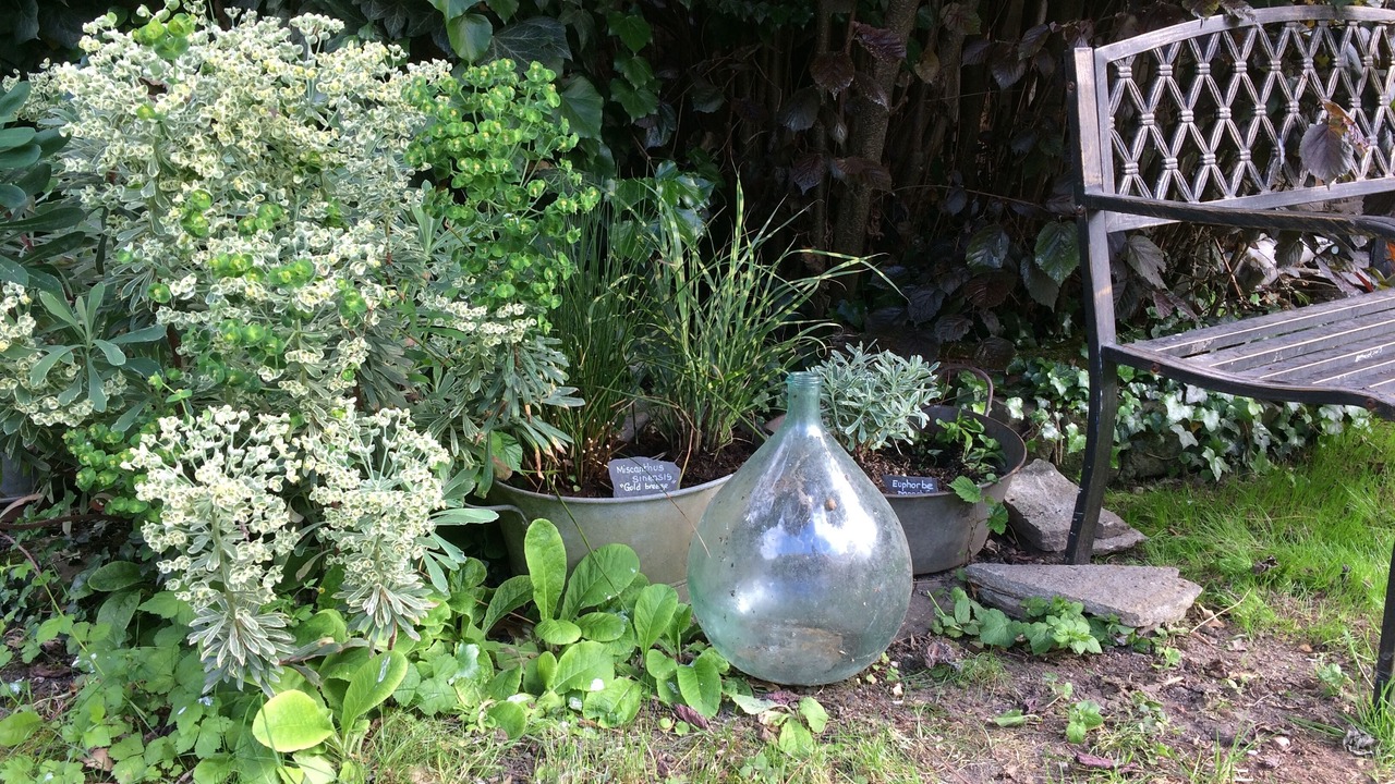Photo of Outdoor in Jouvence
