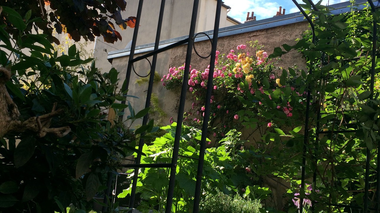 Photo of Outdoor in Jouvence