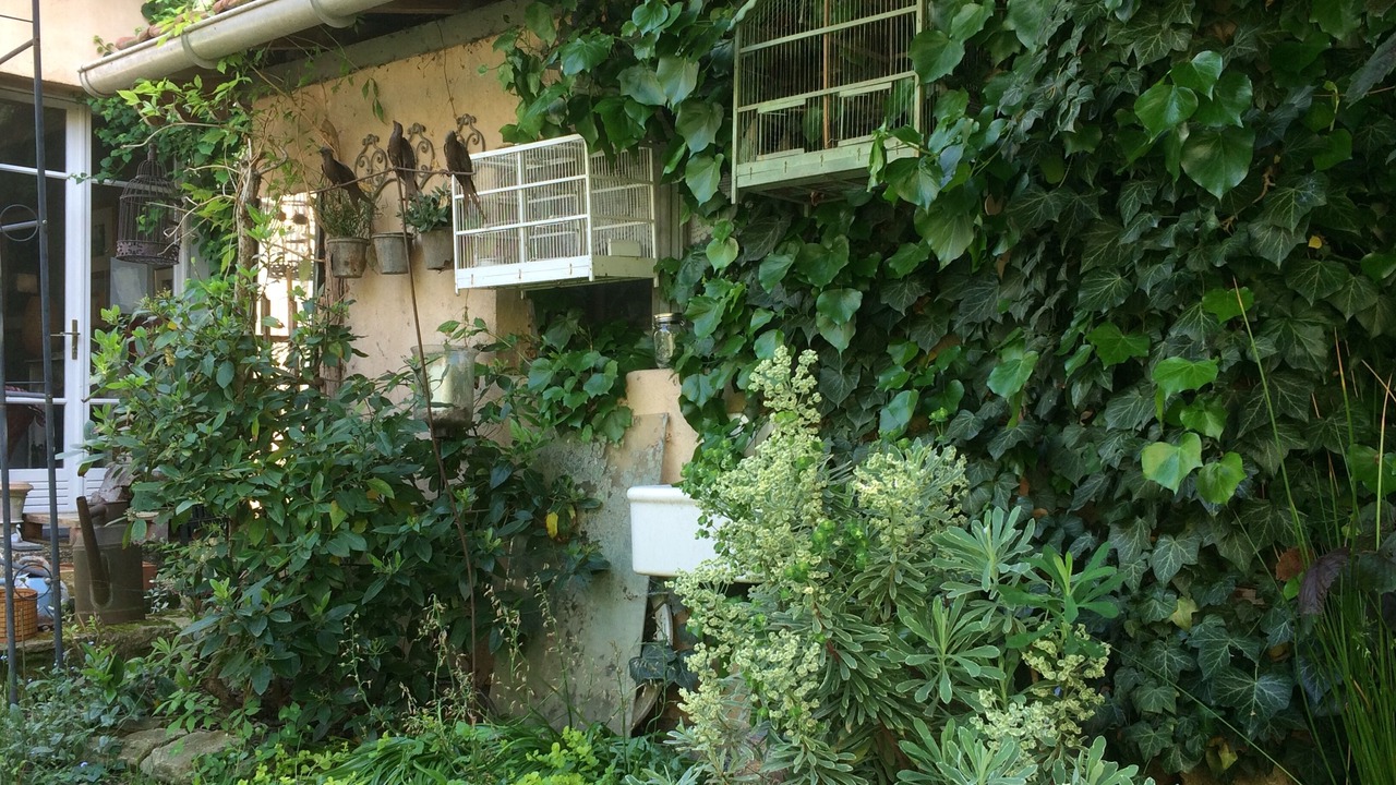 Photo of Outdoor in Jouvence