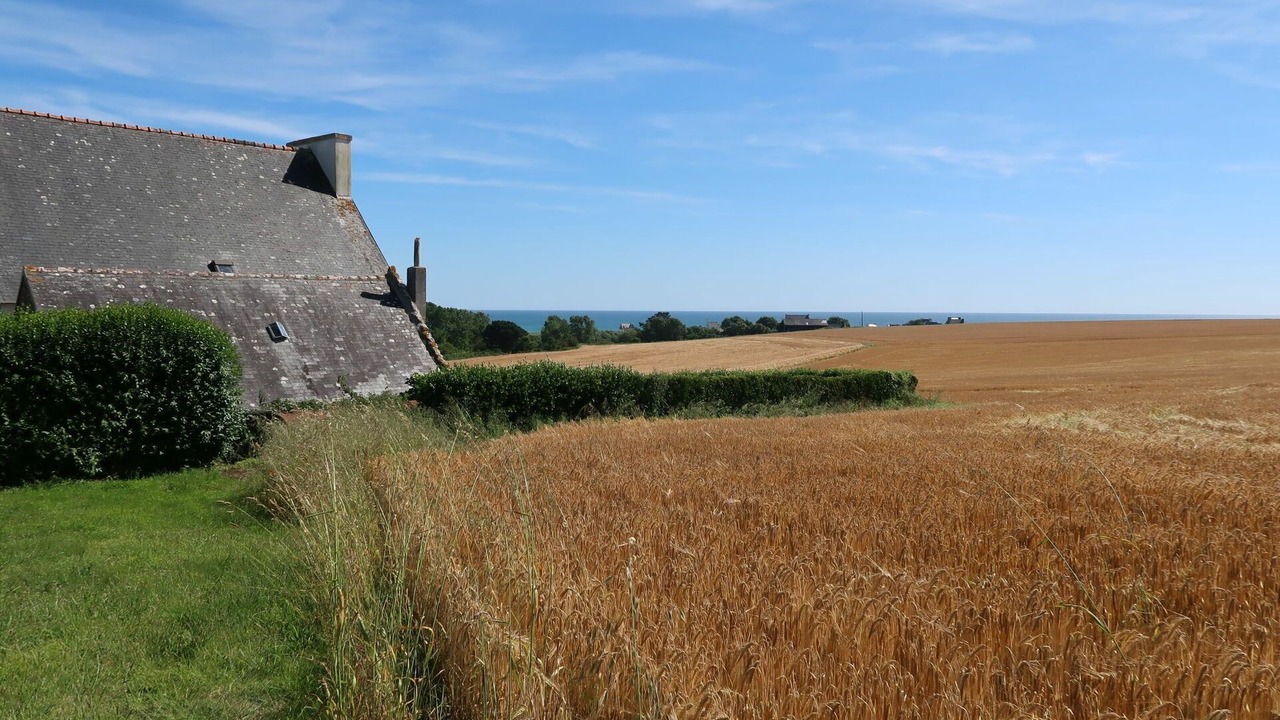 Photo of Outdoor in Plozevet