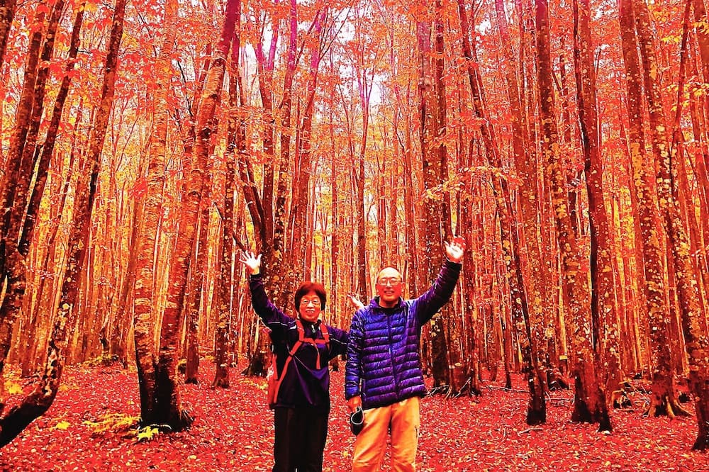 Photo of Others in Appi Onsen