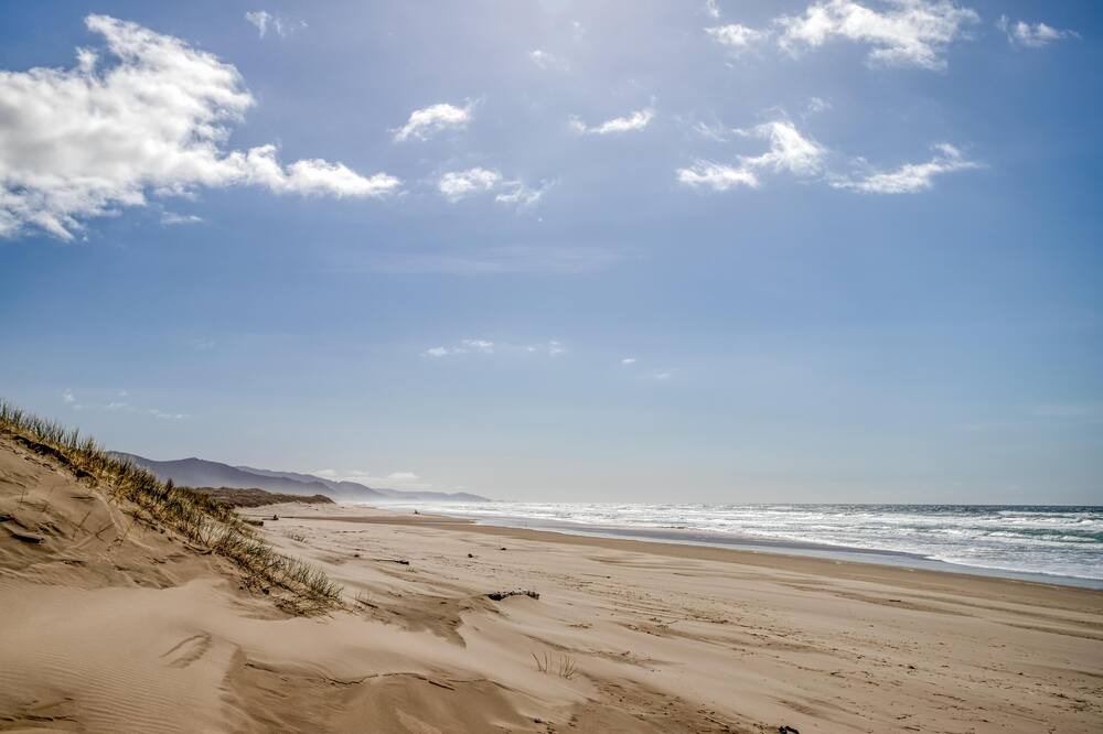 Photo of Others in Neahkahnie Beach