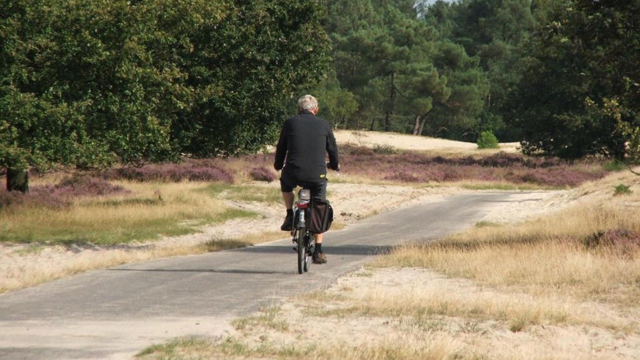 Photo of Others in Udenhout