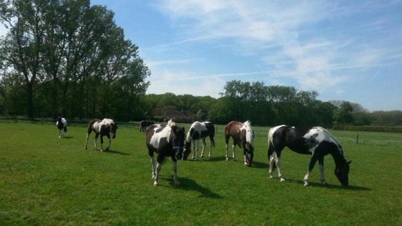 Photo of Others in Udenhout