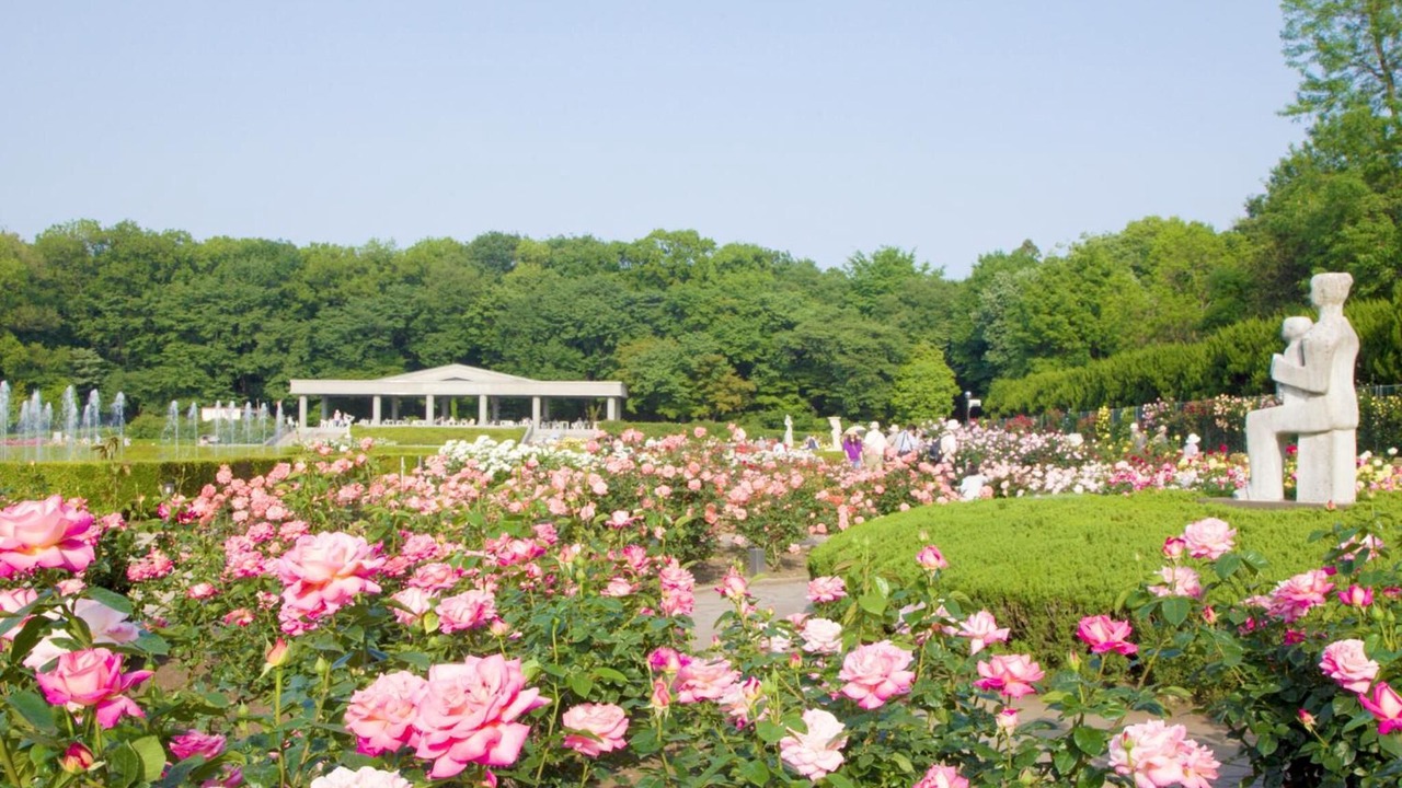 Photo of Outdoor in Chofu