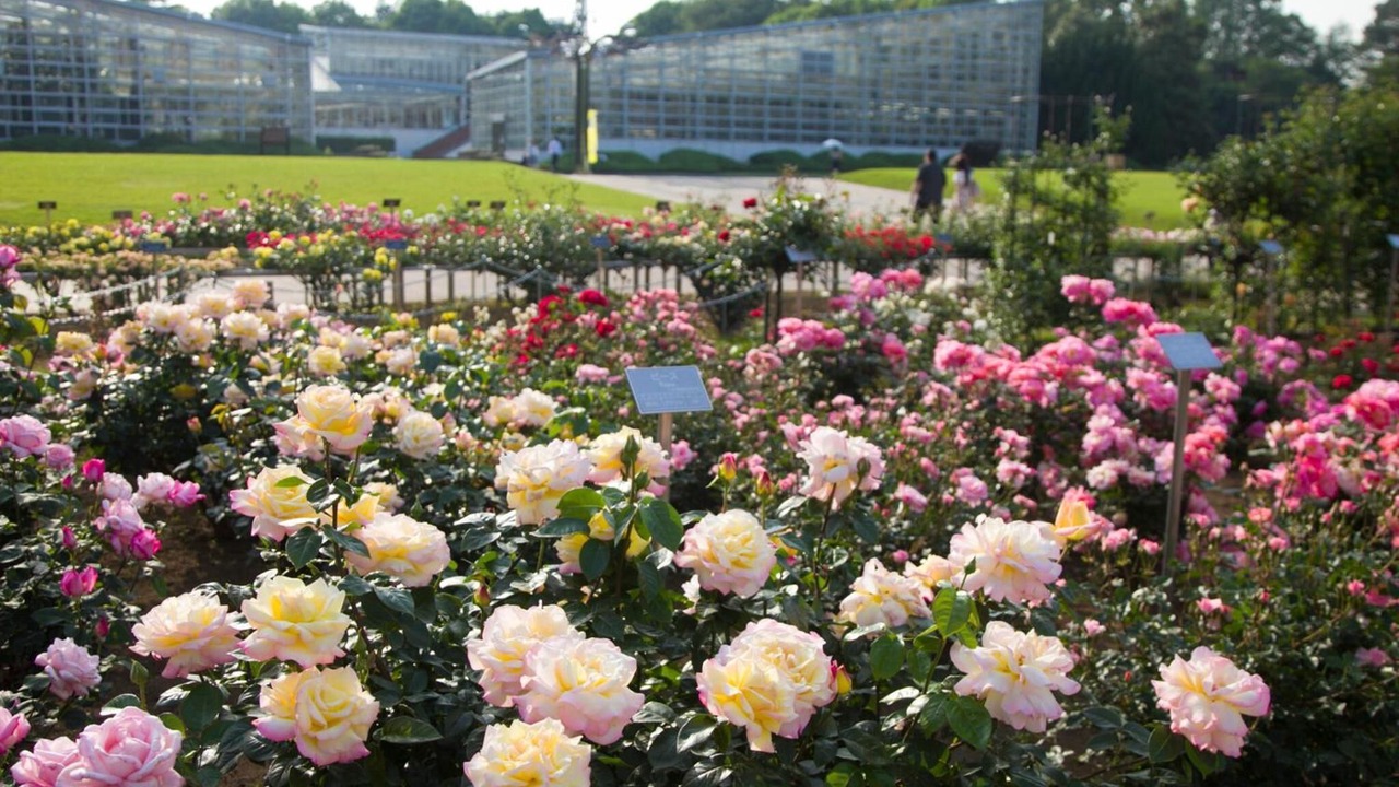 Photo of Outdoor in Chofu