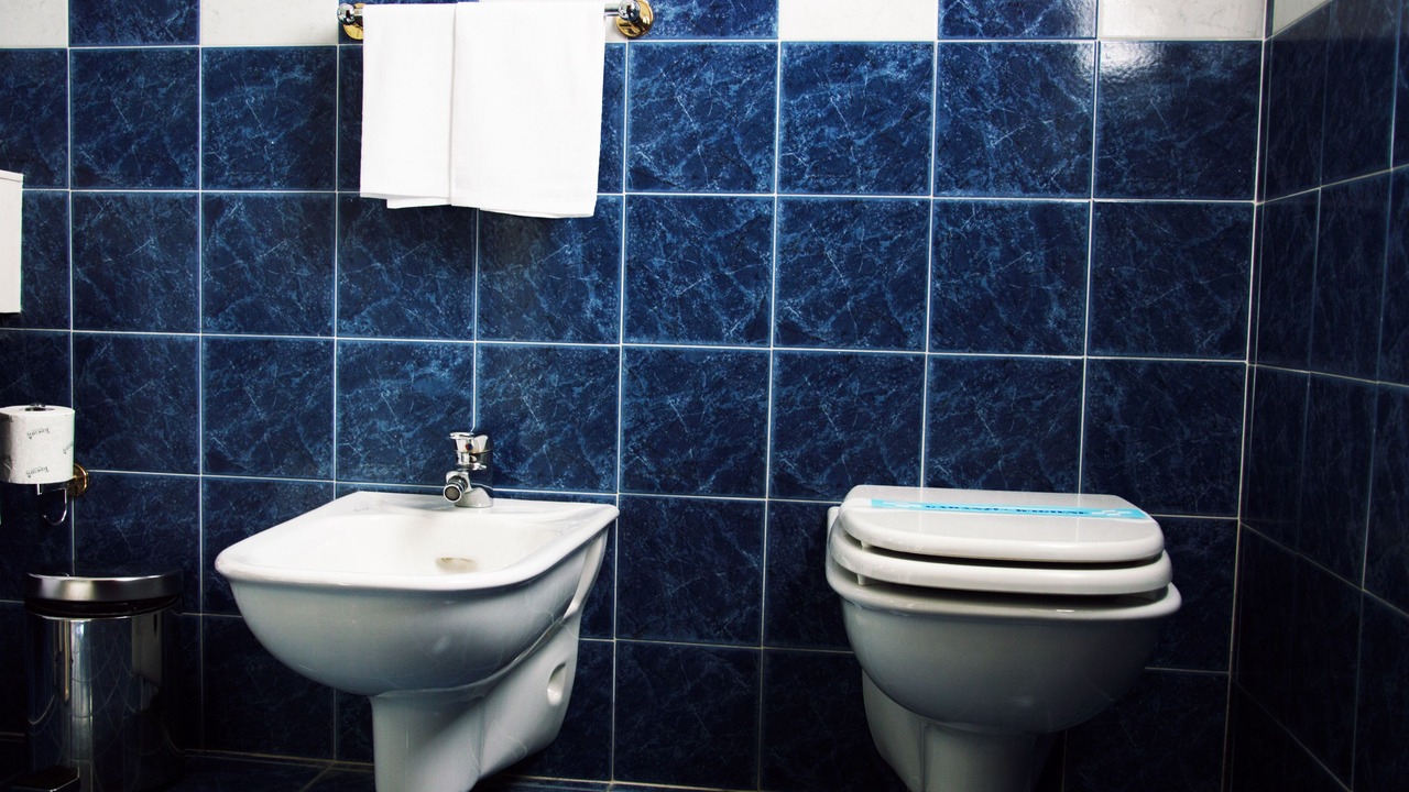 Photo of Bathroom in Melzo