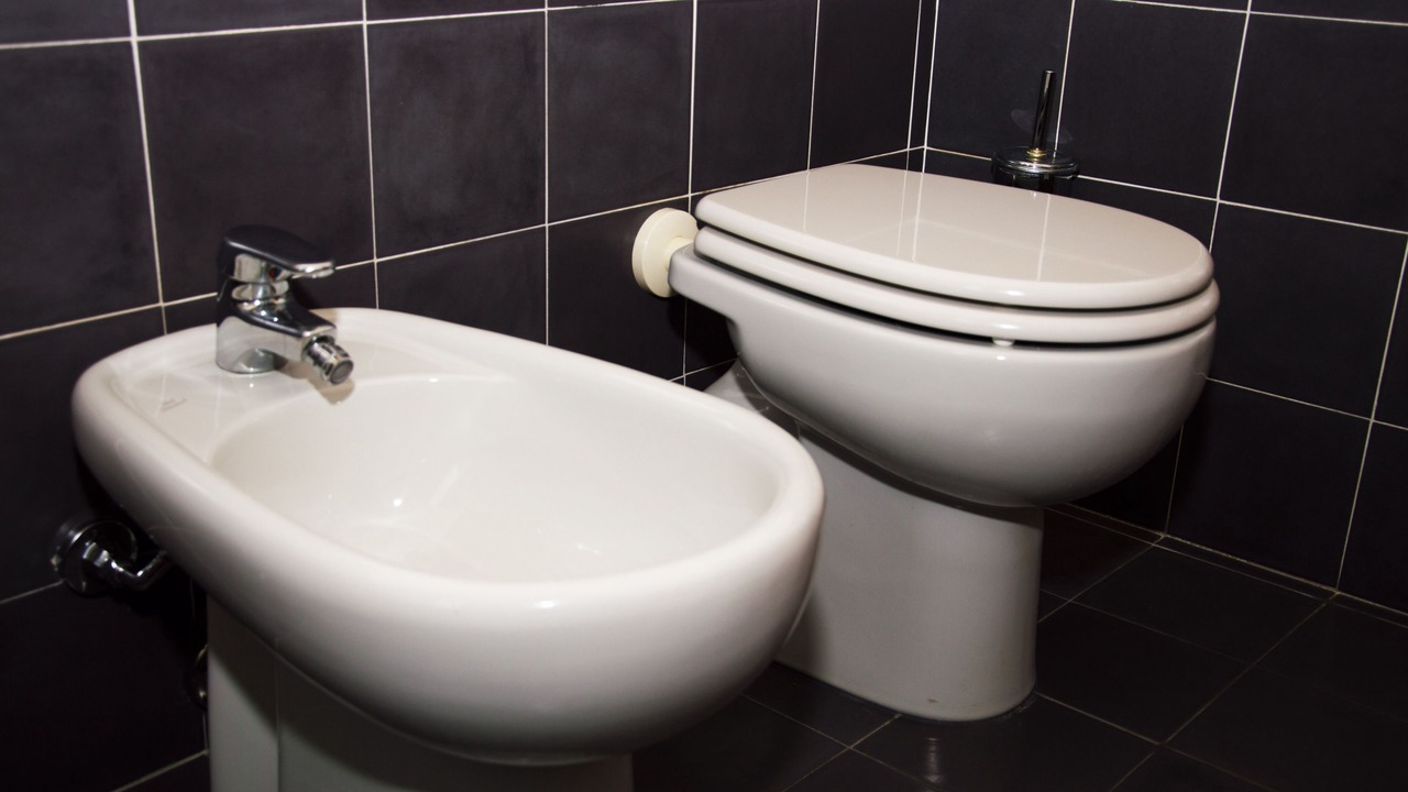 Photo of Bathroom in Melzo