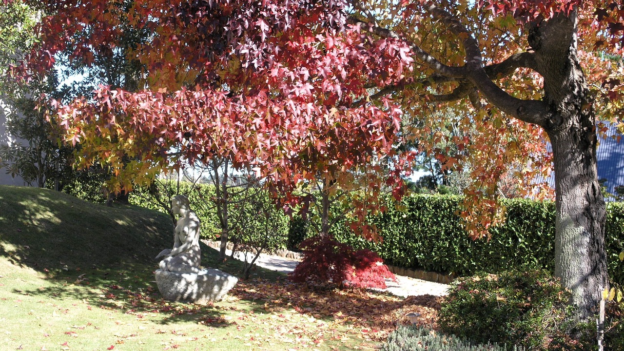 Photo of Outdoor in Wentworth Falls