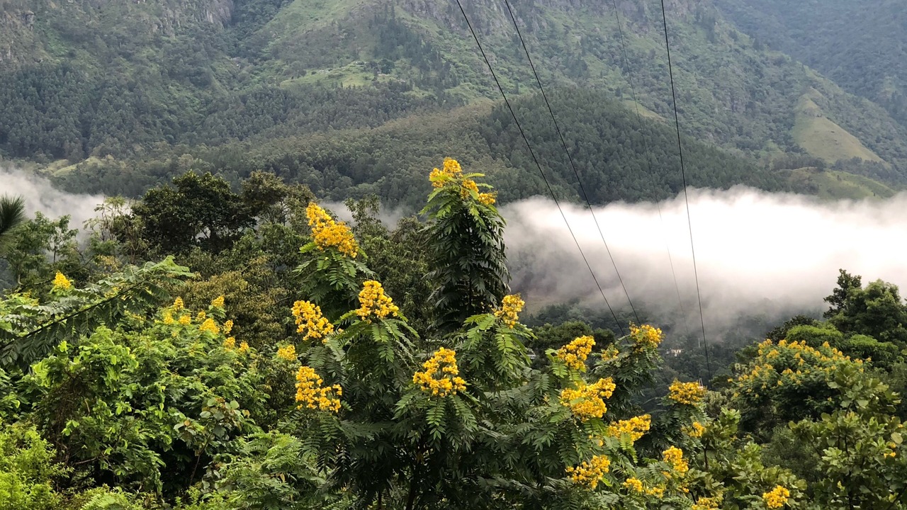 Photo of Outdoor in Hildummulla