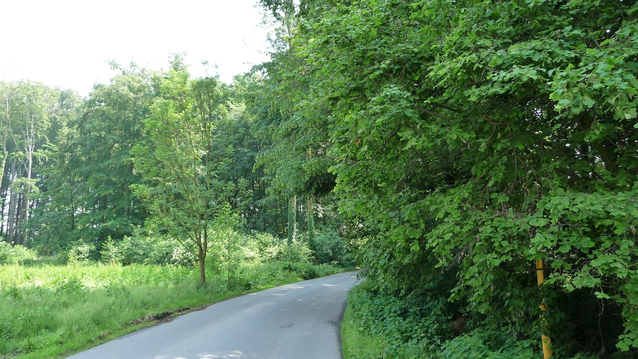 Photo of Outdoor in Sreemangal Upazila