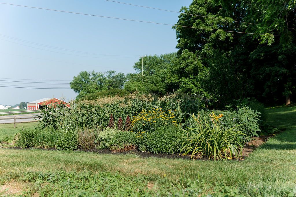 Photo of Outdoor in Wagontown
