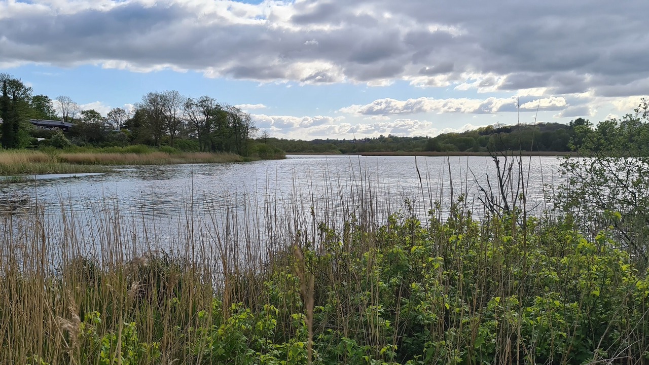 Photo of Outdoor in Krusaa