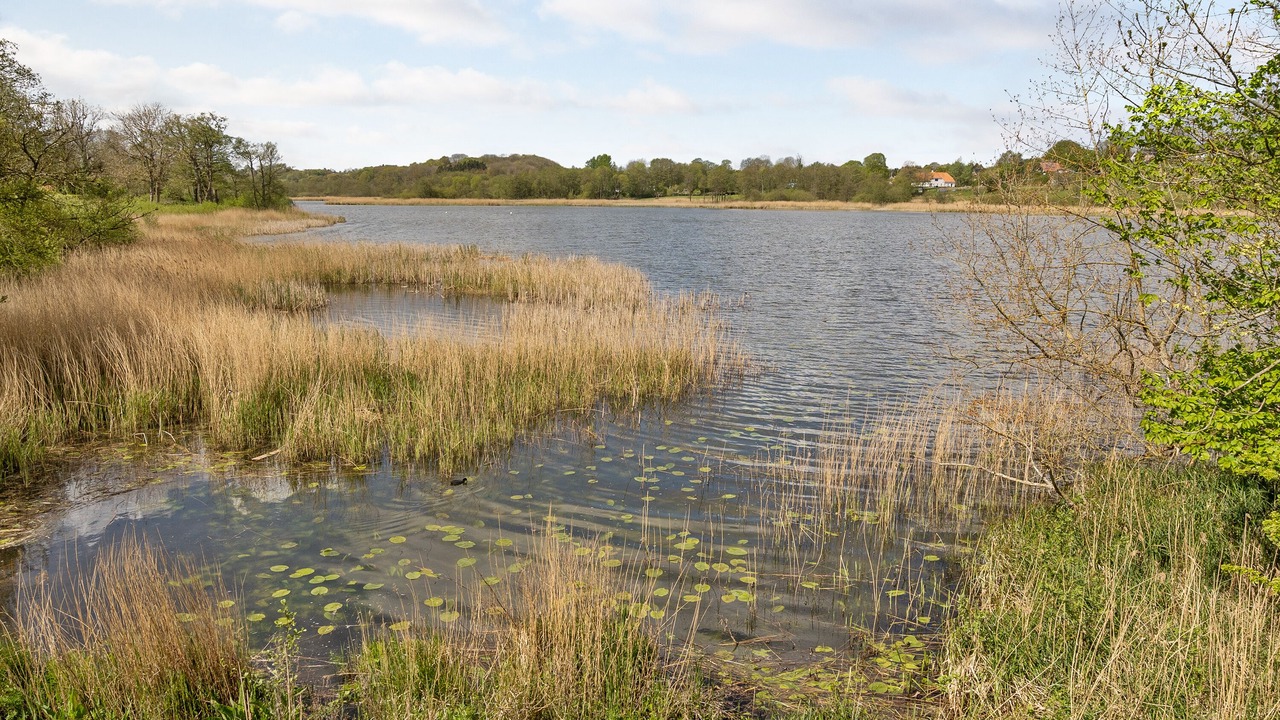 Photo of Outdoor in Krusaa