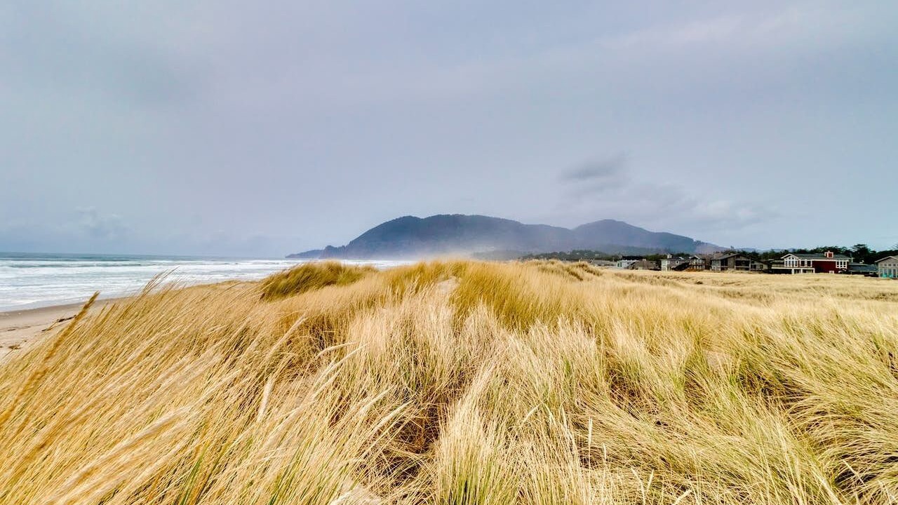 Photo of Others in Manzanita