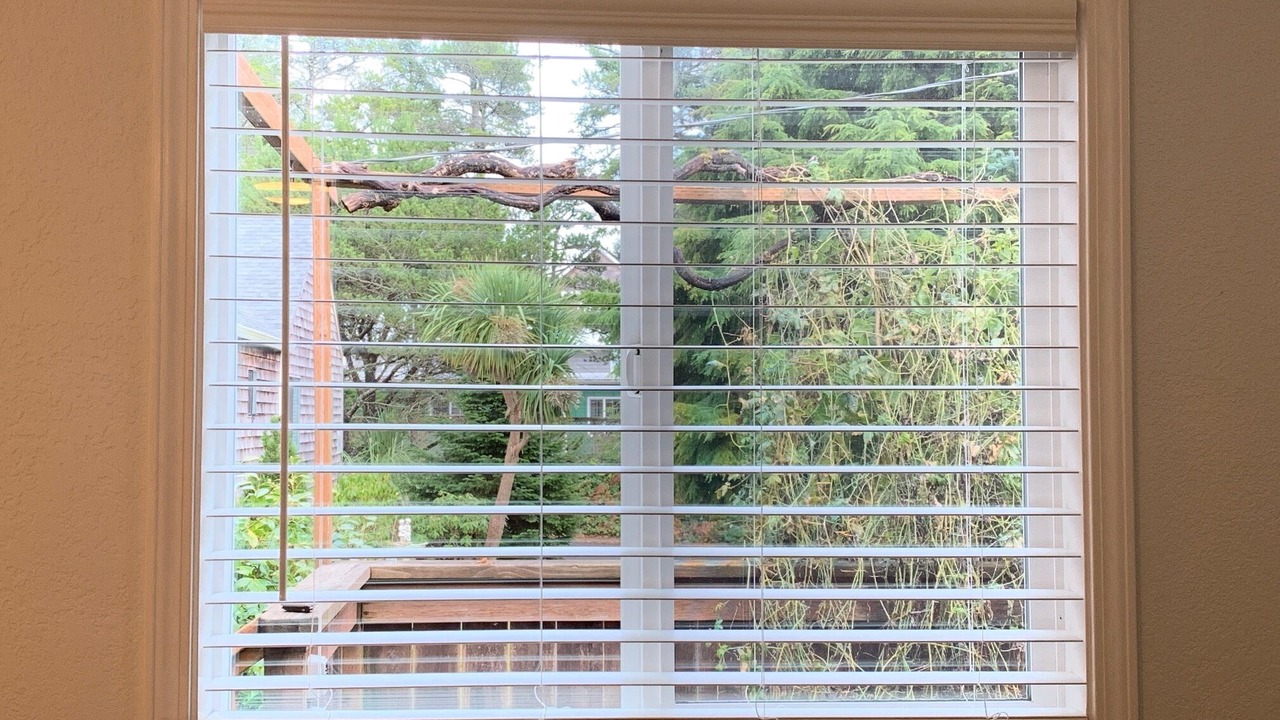 Photo of Outdoor in Manzanita