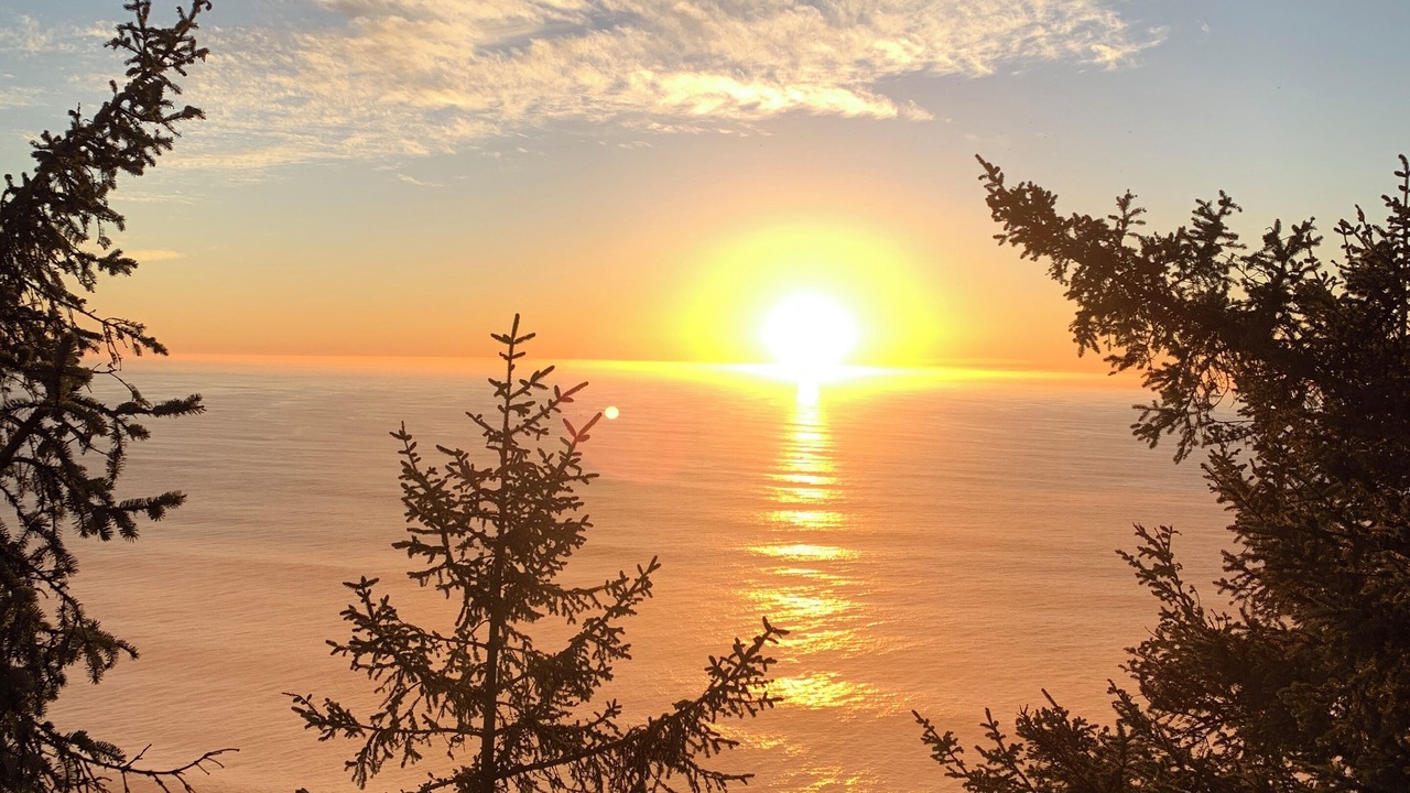 Photo of Others in Manzanita