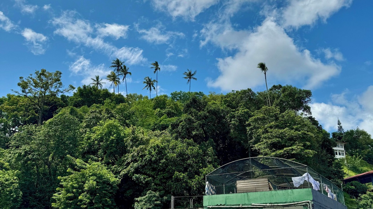 Photo of Outdoor in Kandy