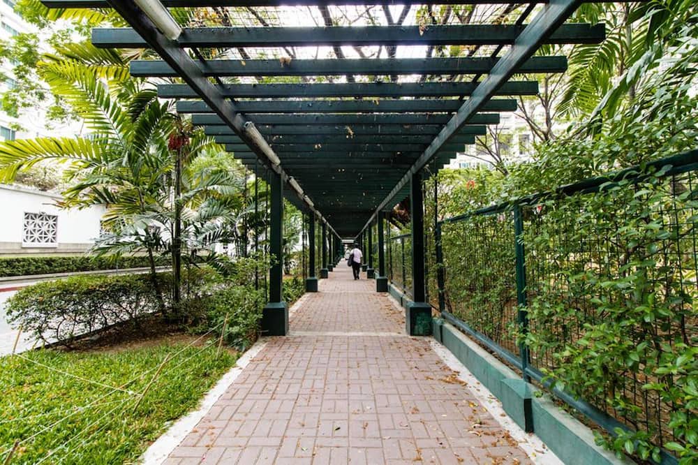 Photo of Patio Balcony in Salcedo Village