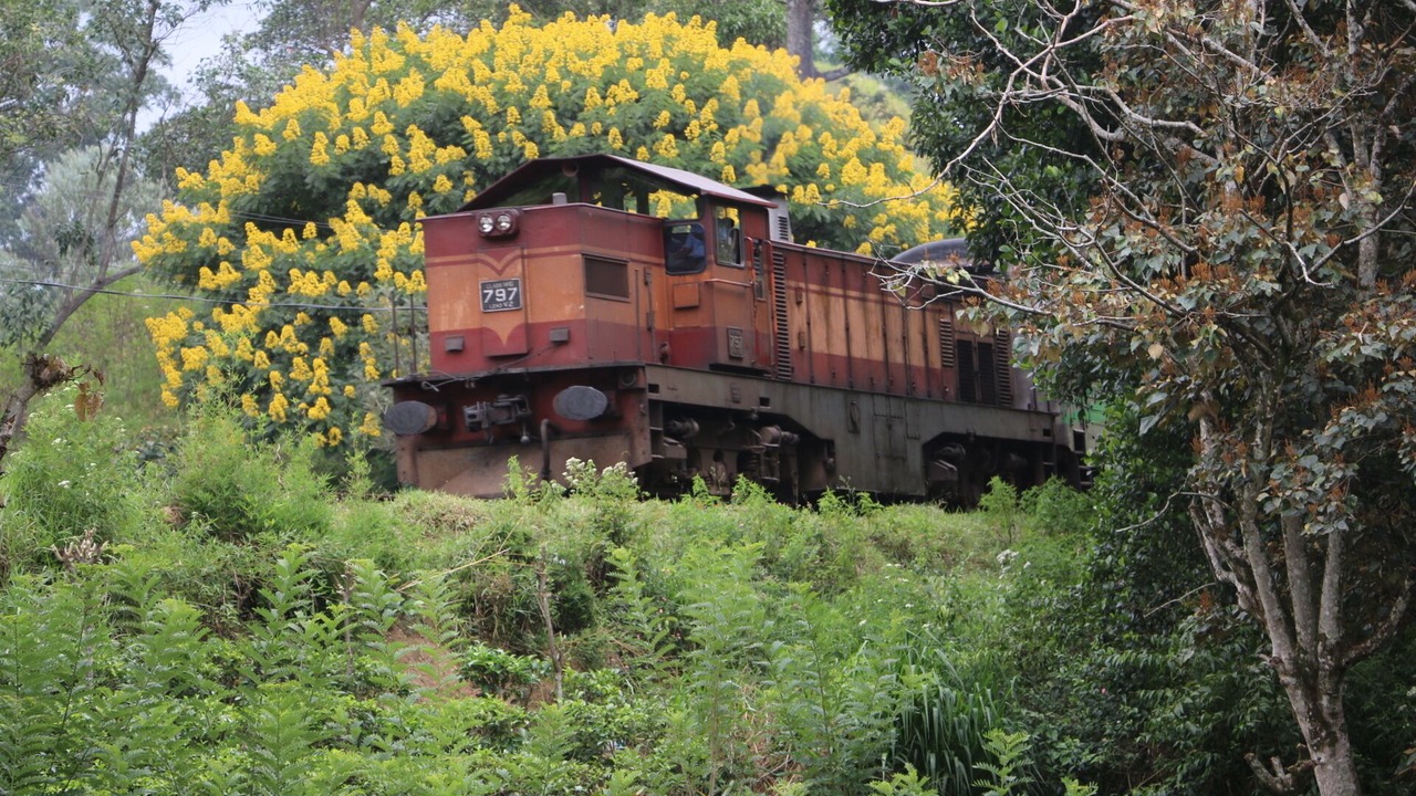 Photo of Outdoor in Bandarawela