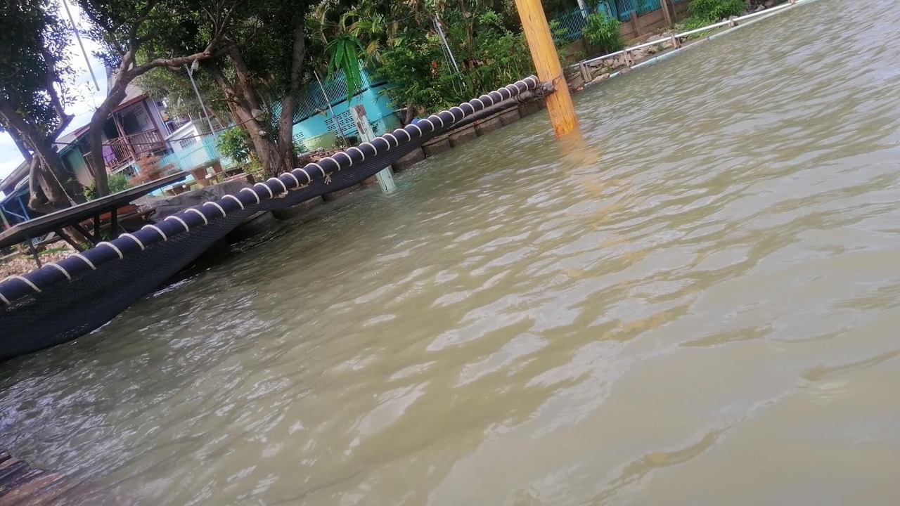 Photo of Others in Ayutthaya