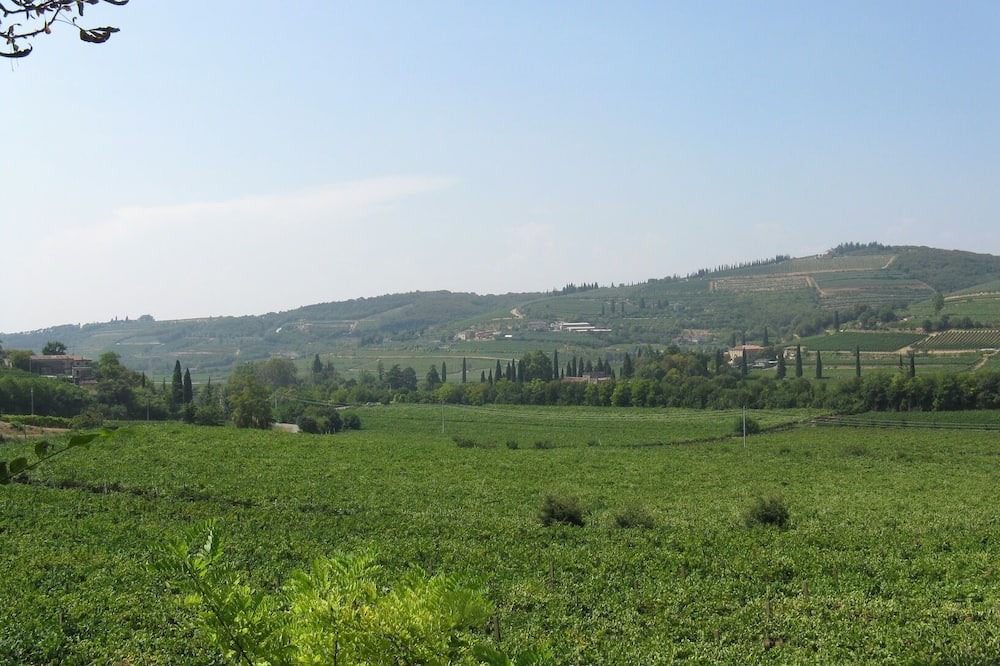 Photo of Others in San Martino Buon Albergo