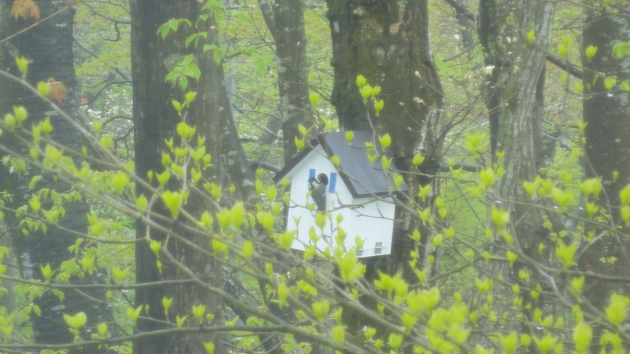 Photo of Others in Yumoto