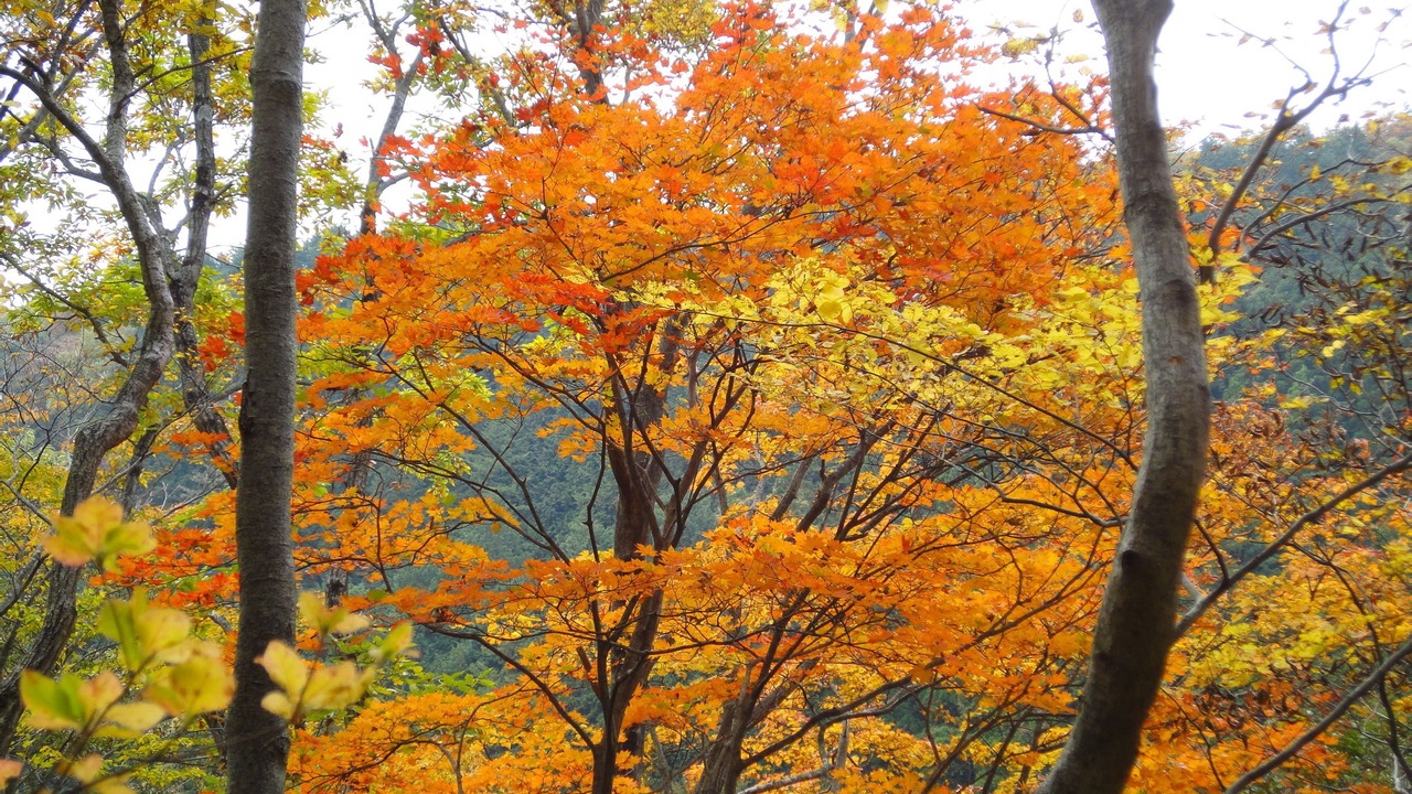 Photo of Outdoor in Yumoto