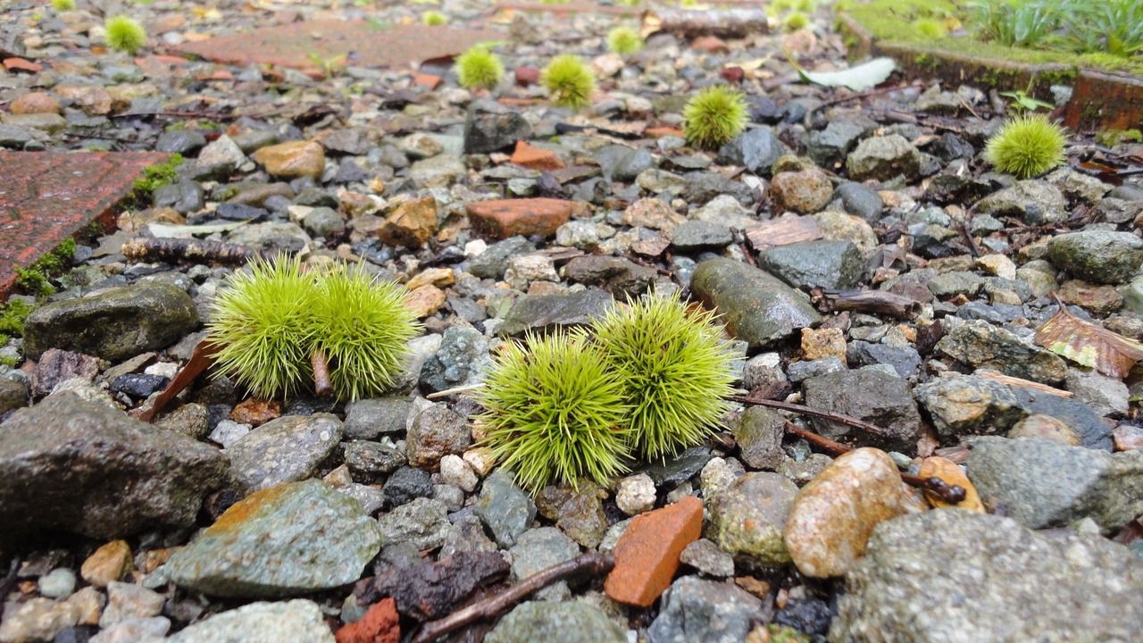 Photo of Outdoor in Yumoto