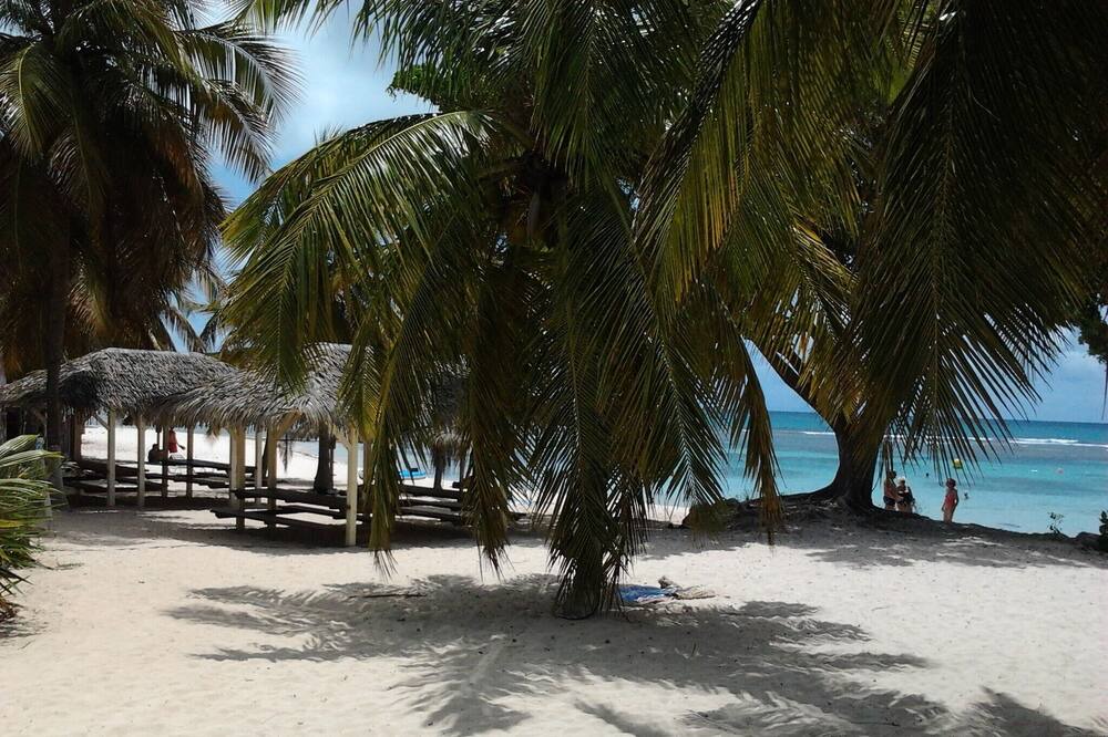 Photo of Others in Grande-Terre