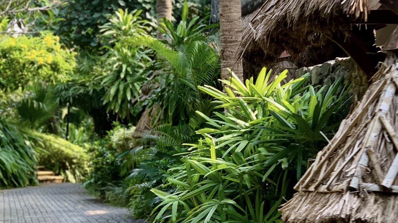 Photo of Outdoor in Kovalam