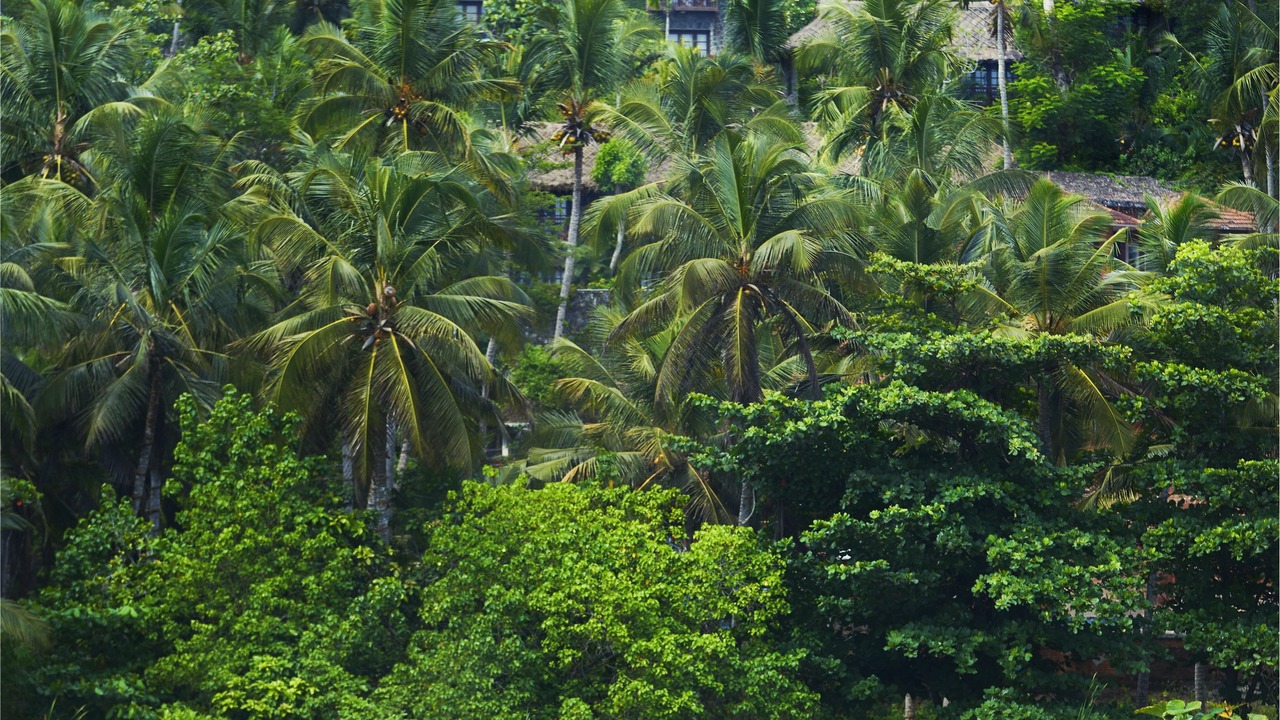 Photo of Outdoor in Kovalam