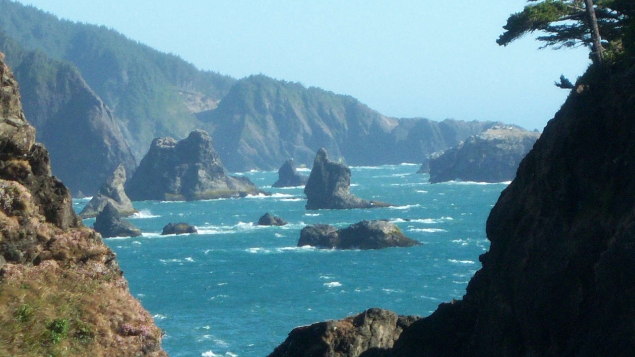 Photo of Others in Gold Beach